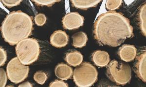 lumber quality control
