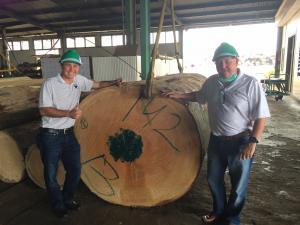 Robert and Don Sourcing Meranti logs in Indonesia